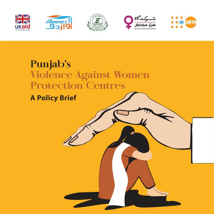 Punjab Violence Against Women Protection Centres Brief